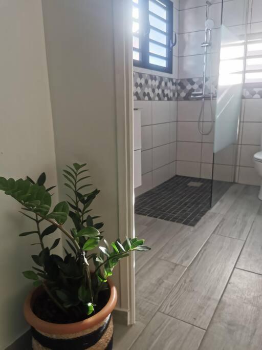 Appartement La Caz'A Loca à Saint Pierre Extérieur photo